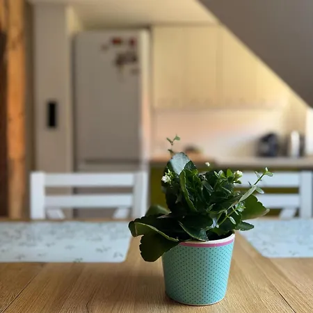 Ordona 9 - Widok Na Jezioro I Park *